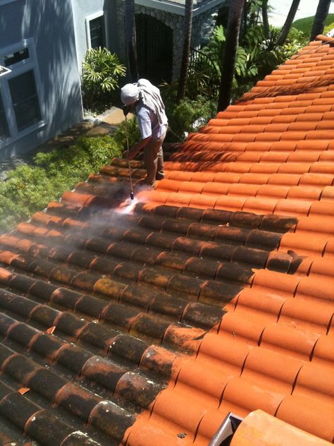 Professional Roof Cleaning