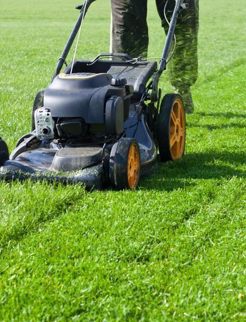 Professional Lawn Mowing