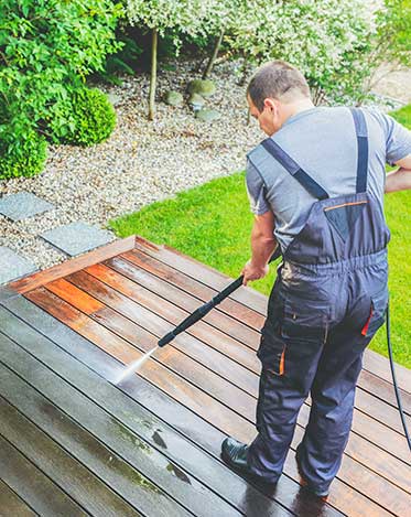 Professional Power Washing Services